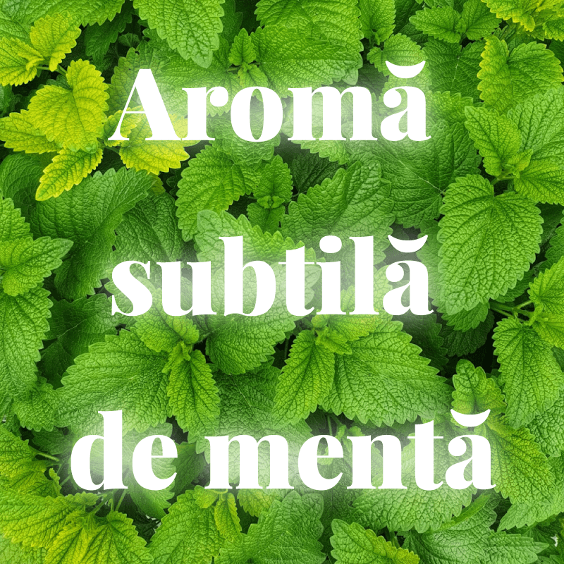 Ață dentară Minty-Charcoal